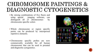 56
 By mixing combinations of five fluors and
using special imaging software, can
distinguish all 23 chromosomes by
chromosome specific colors
 Whole chromosome or region specific
paints can be produced by interspersed
repetitive elements.
 Chromosome specific probes are now
commercially available for all human
chromosome that can be used in prenatal
and diagnostic cytogenetics.
 