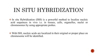  In situ Hybridization (ISH) is a powerful method to localize nucleic
acid sequences in vivo i.e. in tissues, cells, organelles, nuclei or
chromosomes by using appropriate probes.
 With ISH, nucleic acids are localized in their original or proper place on
chromosome will be identified.
 