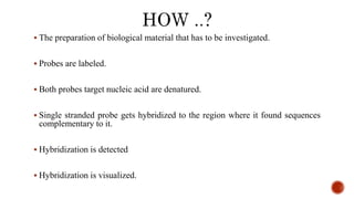  The preparation of biological material that has to be investigated.
 Probes are labeled.
 Both probes target nucleic acid are denatured.
 Single stranded probe gets hybridized to the region where it found sequences
complementary to it.
 Hybridization is detected
 Hybridization is visualized.
 