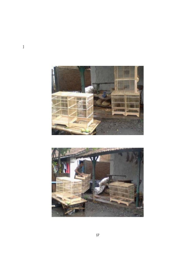 Laporan penelitian home industri Sangkar burung