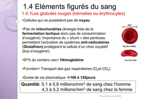 1.4 Eléments figurés du sang
1.4.1Les globules rouges (hématies ou érythrocytes)
•Cellules qui ne possèdent pas de noyau
•Pas de mitochondries (énergie tirée de la
fermentation lactique donc pas de consommation
d’oxygène). Importance du « shunt » des pentoses
permettant l’activation de systèmes anti-radicalaires
(Glutathion) protégeant la cellule d’un choc oxydatif
(bcp d’oxygène!)
•97% du contenu sec= Hémoglobine
•Fonction= Transport des gaz respiratoires (O2et CO2)
•Durée de vie plasmatique 100 à 120jours
Quantité: 5,1 à 5,8 millions/mm3 de sang chez l’homme
4,3 à 5,2 millions/mm3 de sang chez la femme
Franck Rencurel 2020
 