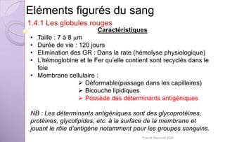 Eléments figurés du sang
1.4.1 Les globules rouges
Caractéristiques
• Taille : 7 à 8 mm
• Durée de vie : 120 jours
• Elimination des GR : Dans la rate (hémolyse physiologique)
• L’hémoglobine et le Fer qu’elle contient sont recyclés dans le
foie
• Membrane cellulaire :
 Déformable(passage dans les capillaires)
 Bicouche lipidiques
 Possède des déterminants antigéniques
NB : Les déterminants antigéniques sont des glycoprotéines,
protéines, glycolipides, etc. à la surface de la membrane et
jouant le rôle d’antigène notamment pour les groupes sanguins.
Franck Rencurel 2020
 