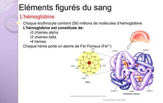 Eléments figurés du sang
L’hémoglobine
Chaque érythrocyte contient 250 millions de molécules d’hémoglobine
L’hémoglobine est constituée de:
•2 chaines alpha
•2 chaines béta
•4 hèmes
Chaque hème porte un atome de Fer Ferreux (Fe2+)
Franck Rencurel 2020
 