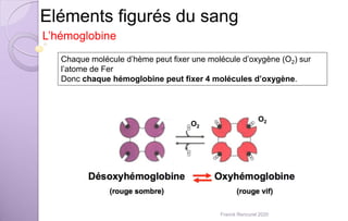 Eléments figurés du sang
L’hémoglobine
Chaque molécule d’hème peut fixer une molécule d’oxygène (O2) sur
l’atome de Fer
Donc chaque hémoglobine peut fixer 4 molécules d’oxygène.
O2
O2
Franck Rencurel 2020
 
