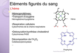 Eléments figurés du sang
L’hème
Hémoprotéines:
•Transport d’oxygène
Hémoglobine/myoglobine
•Respiration cellulaire
Cytochromes de la chaine respiratoire
•Detoxycation/synthèse cholestérol
Cytochromes P450
Décomposition de l’H2O2
Catalases/peroxydase
..
Porphyrine
Hème
Franck Rencurel 2020
 