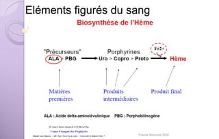 Eléments figurés du sang
Franck Rencurel 2020
 