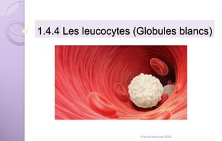 1.4.4 Les leucocytes (Globules blancs)
Franck Rencurel 2020
 