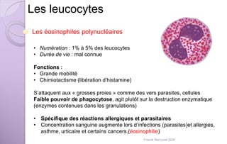 Les leucocytes
Les éosinophiles polynucléaires
• Numération : 1% à 5% des leucocytes
• Durée de vie : mal connue
Fonctions :
• Grande mobilité
• Chimiotactisme (libération d’histamine)
S’attaquent aux « grosses proies » comme des vers parasites, cellules
Faible pouvoir de phagocytose, agit plutôt sur la destruction enzymatique
(enzymes contenues dans les granulations)
• Spécifique des réactions allergiques et parasitaires
• Concentration sanguine augmente lors d’infections (parasites)et allergies,
asthme, urticaire et certains cancers.(éosinophilie)
Franck Rencurel 2020
 