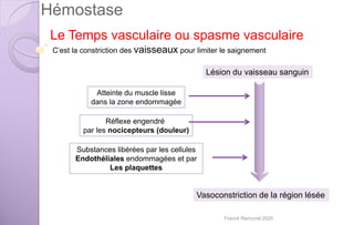 Hémostase
Le Temps vasculaire ou spasme vasculaire
C’est la constriction des vaisseaux pour limiter le saignement
Lésion du vaisseau sanguin
Vasoconstriction de la région lésée
Atteinte du muscle lisse
dans la zone endommagée
Réflexe engendré
par les nocicepteurs (douleur)
Substances libérées par les cellules
Endothéliales endommagées et par
Les plaquettes
Franck Rencurel 2020
 