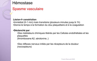 Hémostase
Spasme vasculaire
Lésion constriction
•Immédiat (0-1 min) mais transitoire (plusieurs minutes jusqu’à 1h)
•Donne le temps à la formation du clou plaquettaire et à la coagulation
•Déclenché par:
•Des médiateurs chimiques libérés par les Cellules endothéliales et les
plaquettes
(thromboxane A2, sérotonine..)
•Des réflexes nerveux initiés par les récepteurs de la douleur
(nocicepteurs)
Franck Rencurel 2020
 