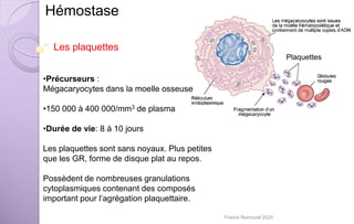 Hémostase
Les plaquettes
•Précurseurs :
Mégacaryocytes dans la moelle osseuse
•150 000 à 400 000/mm3 de plasma
•Durée de vie: 8 à 10 jours
Les plaquettes sont sans noyaux. Plus petites
que les GR, forme de disque plat au repos.
Possèdent de nombreuses granulations
cytoplasmiques contenant des composés
important pour l’agrégation plaquettaire.
Plaquettes
Franck Rencurel 2020
 