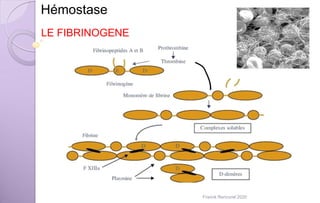 Hémostase
LE FIBRINOGENE
Franck Rencurel 2020
 