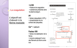 La coagulation
L’objectif est
d’aboutir à la
fibrine insoluble
Franck Rencurel 2020
 