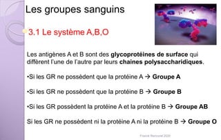 Les groupes sanguins
Les antigènes A et B sont des glycoprotéines de surface qui
diffèrent l’une de l’autre par leurs chaines polysaccharidiques.
•Si les GR ne possèdent que la protéine A  Groupe A
•Si les GR ne possèdent que la protéine B  Groupe B
•Si les GR possèdent la protéine A et la protéine B  Groupe AB
Si les GR ne possèdent ni la protéine A ni la protéine B  Groupe O
3.1 Le système A,B,O
Franck Rencurel 2020
 