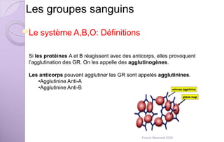 Les groupes sanguins
Le système A,B,O: Définitions
Si les protéines A et B réagissent avec des anticorps, elles provoquent
l’agglutination des GR. On les appelle des agglutinogènes.
Les anticorps pouvant agglutiner les GR sont appelés agglutinines.
•Agglutinine Anti-A
•Agglutinine Anti-B
Franck Rencurel 2020
 