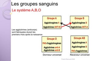 Les groupes sanguins
Le système A,B,O
Donneur universel Receveur universel
Les agglutinines (anticorps)
sont fabriquées durant les
premiers mois après la naissance
Franck Rencurel 2020
 