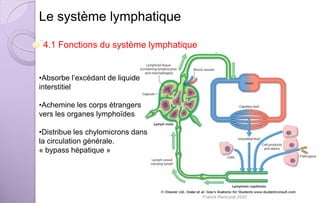 Le système lymphatique
4.1 Fonctions du système lymphatique
•Absorbe l’excédant de liquide
interstitiel
•Achemine les corps étrangers
vers les organes lymphoïdes
•Distribue les chylomicrons dans
la circulation générale.
« bypass hépatique »
Franck Rencurel 2020
 