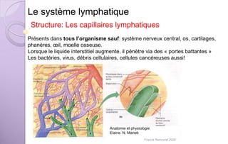Le système lymphatique
Structure: Les capillaires lymphatiques
Présents dans tous l’organisme sauf: système nerveux central, os, cartilages,
phanères, œil, moelle osseuse.
Lorsque le liquide interstitiel augmente, il pénètre via des « portes battantes »
Les bactéries, virus, débris cellulaires, cellules cancéreuses aussi!
Anatomie et physiologie
Elaine. N. Marieb
Franck Rencurel 2020
 