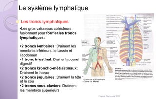 Le système lymphatique
Les troncs lymphatiques
•Les gros vaisseaux collecteurs
fusionnent pour former les troncs
lymphatiques:
2 troncs lombaires: Drainent les
membres inférieurs, le bassin et
l’abdomen
1 tronc intestinal: Draine l’appareil
digestif
2 troncs broncho-médiastinaux:
Drainent le thorax
2 troncs jugulaires: Drainent la tête
et le cou
2 troncs sous-claviers: Drainent
les membres supérieurs
Anatomie et physiologie
Elaine. N. Marieb
Franck Rencurel 2020
 