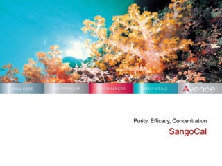 Purity, Efficacy, Concentration SangoCal 