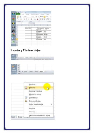 Insertar y Eliminar Hojas

 