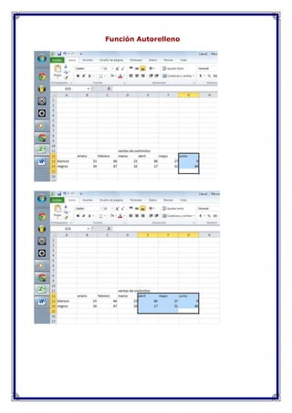 Función Autorelleno

 