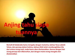 Anjing tahu siapa
tuannya
Roma9:10 Sebab jika kamu mengaku dengan mulutmu, bahwa Yesus adalah
Tuhan, dan percaya dalam hatimu, bahwa Allah telah membangkitkan Dia
dari antara orang mati, maka kamu akan diselamatkan. Karena dengan hati
orang percaya dan dibenarkan, dan dengan mulut orang mengaku dan
diselamatkan
 
