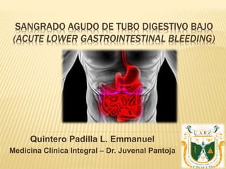 SANGRADO AGUDO DE TUBO DIGESTIVO BAJO
(ACUTE LOWER GASTROINTESTINAL BLEEDING)
Quintero Padilla L. Emmanuel
Medicina Clínica Integral – Dr. Juvenal Pantoja
 