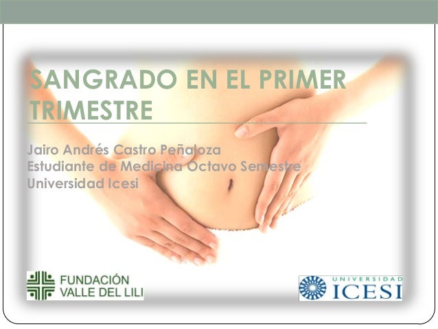 alimentaci n para embarazadas primer trimestre sangrado del primer trimestre del embarazo alimentaci n para embarazadas primer trimestre sangrado del primer trimestre del embarazo