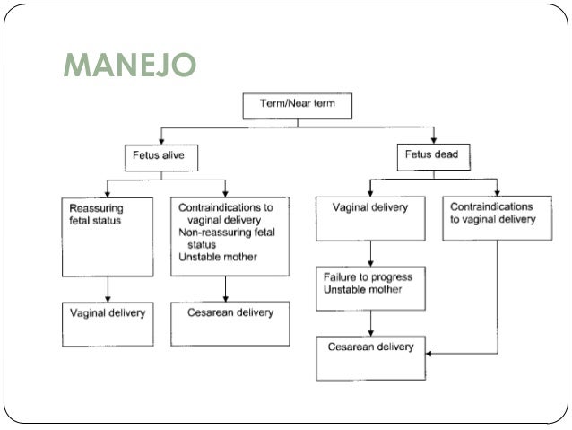 Causas De Sangrado En El Primer Trimestre De Embarazo Pdf Causas De Sangrado En El Primer Trimestre De Embarazo Pdf