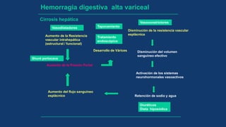 Hemorragia digestiva alta variceal
Aumento de la Resistencia
vascular intrahepática
(estructural / funcional)
Cirrosis hepática
Disminución de la resistencia vascular
esplácnica
Aumento del flujo sanguíneo
esplácnico
Disminución del volumen
sanguineo efectivo
Activación de los sistemas
neurohormonales vasoactivos
Retención de sodio y agua
Aumento de la Presión Portal
Diuréticos
Dieta hiposódica
Desarrollo de Várices
Tratamiento
endoscópico
Vasoconstrictores
Vasodilatadores Taponamiento
Shunt portocava
 