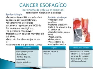 Tumoración maligna en el esófago
Epidemiologia:
•Representan el 6% de lodos los
canceres gastrointestinales.
•El carcinoma de células
escamosa representa el 90% de
los canceres esofágicos.
•Se presenta con mayor
frecuencia en adultos mayores de
50 años.
•Relación hombre mujer es de
4:1.
•Incidencia de 2-8 por cada 100000
Factores de riesgo:
•Predisposición
genética.
•Factores dietéticos
(déficit de vitamina A y
C; déficit de
oligoelementos como
cinc).
•Alcoholismo.
•Tabaquismo
•Antecedente de
esofagitis crónica.
Síntomas
•Disfagia progresiva.
•Odinofagia.
•Perdida de peso.
•Debilidad.
•Hemorragia leve.
signos
•Palidez de piel y
mucosas
Datos para clínicos
•Endoscopia: se puede
observar la obstrucción
de la luz del esófago.
•Biopsia: presencia de
células neoplasias.
 