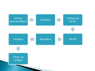 Reflujo
gastroesofágico
Esofagitis
Esófago de
Barret
AtrofiaMetaplasiaDisplasia
Cáncer de
esófago
 