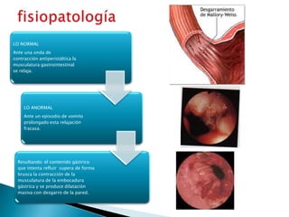 LO NORMAL
Ante una onda de
contracción antiperistáltica la
musculatura gastrointestinal
se relaja.
LO ANORMAL
Ante un episodio de vomito
prolongado esta relajación
fracasa.
Resultando: el contenido gástrico
que intenta refluir supera de forma
brusca la contracción de la
musculatura de la embocadura
gástrica y se produce dilatación
masiva con desgarro de la pared.
 