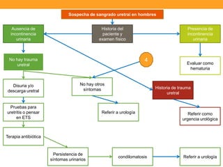 Sospecha de sangrado uretral en hombres
Ausencia de
incontinencia
urinaria

Historia del
paciente y
examen físico

4

No hay trauma
uretral

Disuria y/o
descarga uretral

Presencia de
incontinencia
urinaria

No hay otros
síntomas

Pruebas para
uretritis o pensar
en ETS

Evaluar como
hematuria

Historia de trauma
uretral

Referir a urología

Referir como
urgencia urológica

Terapia antibiótica

Persistencia de
síntomas urinarios

condilomatosis

Referir a urología

 