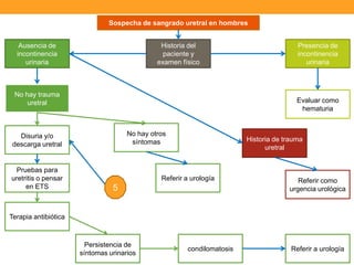 Sospecha de sangrado uretral en hombres
Ausencia de
incontinencia
urinaria

Historia del
paciente y
examen físico

No hay trauma
uretral

Evaluar como
hematuria

No hay otros
síntomas

Disuria y/o
descarga uretral

Pruebas para
uretritis o pensar
en ETS

Presencia de
incontinencia
urinaria

Historia de trauma
uretral

Referir a urología

5

Referir como
urgencia urológica

Terapia antibiótica

Persistencia de
síntomas urinarios

condilomatosis

Referir a urología

 