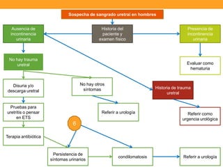Sospecha de sangrado uretral en hombres
Ausencia de
incontinencia
urinaria

Historia del
paciente y
examen físico

No hay trauma
uretral

Presencia de
incontinencia
urinaria

Evaluar como
hematuria

No hay otros
síntomas

Disuria y/o
descarga uretral

Pruebas para
uretritis o pensar
en ETS

Historia de trauma
uretral

Referir a urología

Referir como
urgencia urológica

6
Terapia antibiótica

Persistencia de
síntomas urinarios

condilomatosis

Referir a urología

 