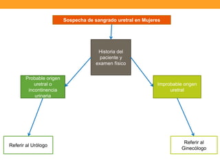 Sospecha de sangrado uretral en Mujeres

Historia del
paciente y
examen físico
Probable origen
uretral o
incontinencia
urinaria

Referir al Urólogo

Improbable origen
uretral

Referir al
Ginecólogo

 
