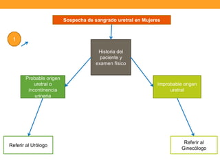 Sospecha de sangrado uretral en Mujeres

1
Historia del
paciente y
examen físico
Probable origen
uretral o
incontinencia
urinaria

Referir al Urólogo

Improbable origen
uretral

Referir al
Ginecólogo

 