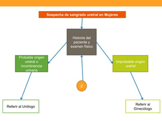 Sospecha de sangrado uretral en Mujeres

Historia del
paciente y
examen físico
Probable origen
uretral o
incontinencia
urinaria

Improbable origen
uretral

2

Referir al Urólogo

Referir al
Ginecólogo

 