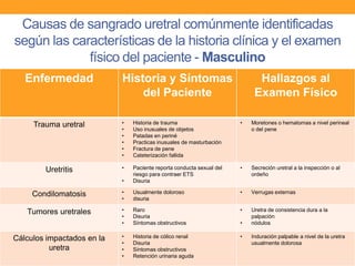 Causas de sangrado uretral comúnmente identificadas
según las características de la historia clínica y el examen
físico del paciente - Masculino
Enfermedad

Historia y Síntomas
del Paciente

Hallazgos al
Examen Físico

Trauma uretral

•
•
•
•
•
•

Historia de trauma
Uso inusuales de objetos
Patadas en periné
Practicas inusuales de masturbación
Fractura de pene
Cateterización fallida

•

Moretones o hematomas a nivel perineal
o del pene

Uretritis

•

•

Secreción uretral a la inspección o al
ordeño

•

Paciente reporta conducta sexual del
riesgo para contraer ETS
Disuria

Condilomatosis

•
•

Usualmente doloroso
disuria

•

Verrugas externas

Tumores uretrales

•
•
•

Raro
Disuria
Síntomas obstructivos

•

Uretra de consistencia dura a la
palpación
nódulos

•
•
•
•

Historia de cólico renal
Disuria
Síntomas obstructivos
Retención urinaria aguda

•

Cálculos impactados en la
uretra

•

Induración palpable a nivel de la uretra
usualmente dolorosa

 