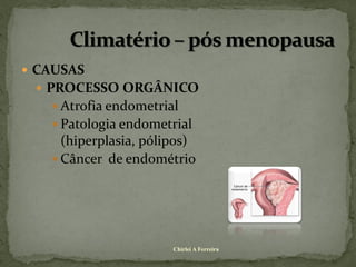  CAUSAS
  PROCESSO ORGÂNICO
    Atrofia endometrial
    Patologia endometrial
     (hiperplasia, pólipos)
    Câncer de endométrio




                       Chirlei A Ferreira
 
