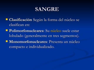 SANGRE Clasificación  Según la forma del núcleo se clasifican en: Polimorfonucleares : Su  núcleo  suele estar lobulado (generalmente en tres segmentos).  Monomorfonucleares : Presenta un núcleo compacto e individualizado.  