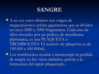 SANGRE A su vez estos últimos son origen de megacariocitos celulas gigantescas que se dividen en unos 2000 a 3000 fragmentos. Cada uno de ellos envuelto por un pedazo de membrana plasmatica, es una PLAQUETA o TROMBOCITO. El numero de plaquetas es de 150.000 a 450.000uL. Los trombocitos ayudan a interrumpir la perdida de sangre en los vasos dañados, gracias a la formacion del tapón plaquetario. 