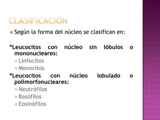  Según   la forma del núcleo se clasifican en:

*Leucocitos con núcleo sin lóbulos                o
  mononucleares:
   Linfocitos
   Monocitos
*Leucocitos     con   núcleo lobulado             o
  polimorfonucleares:
   Neutrófilos
   Basófilos
   Eosinófilos
 