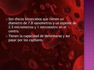  Son discos biconcabos que tienen un
  diametro de 7.8 nanometros y un espesor de
  2.5 micrometros y 1 micrometro en el
  centro.
 Tienen la capacidad de deformarse y asi
  pasar por los capilares
 