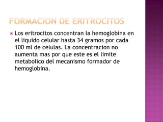  Los eritrocitos concentran la hemoglobina en
 el liquido celular hasta 34 gramos por cada
 100 ml de celulas. La concentracion no
 aumenta mas por que este es el limite
 metabolico del mecanismo formador de
 hemoglobina.
 