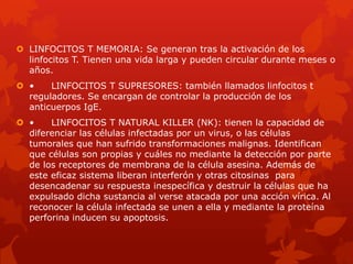  LINFOCITOS T MEMORIA: Se generan tras la activación de los
  linfocitos T. Tienen una vida larga y pueden circular durante meses o
  años.
 •    LINFOCITOS T SUPRESORES: también llamados linfocitos t
  reguladores. Se encargan de controlar la producción de los
  anticuerpos IgE.
 •    LINFOCITOS T NATURAL KILLER (NK): tienen la capacidad de
  diferenciar las células infectadas por un virus, o las células
  tumorales que han sufrido transformaciones malignas. Identifican
  que células son propias y cuáles no mediante la detección por parte
  de los receptores de membrana de la célula asesina. Además de
  este eficaz sistema liberan interferón y otras citosinas para
  desencadenar su respuesta inespecífica y destruir la células que ha
  expulsado dicha sustancia al verse atacada por una acción vírica. Al
  reconocer la célula infectada se unen a ella y mediante la proteína
  perforina inducen su apoptosis.
 