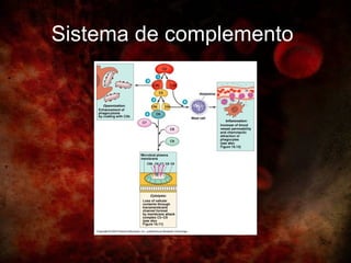 Sistema de complemento
 