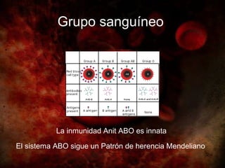 Grupo sanguíneo




           La inmunidad Anit ABO es innata

El sistema ABO sigue un Patrón de herencia Mendeliano
 